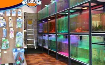 Pro-Pet Un mundo para tu mascota