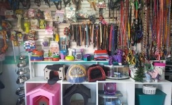 Clínica Veterinaria Chow Chow