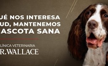 Clínica Veterinaria Wallace