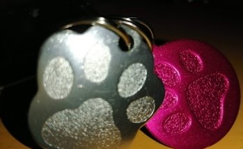 D'Pelitos Servicios Veterinarios y Estética