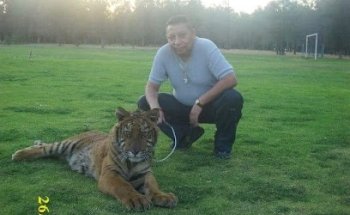 Safari Veterinary Clinic