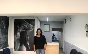 Veterinaria Animalitos