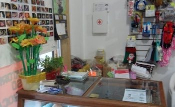 CONSULTORIO MÉDICO VETERINARIO PET'S