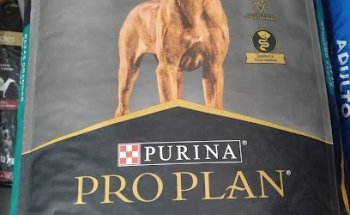 Veterinaria Pura Sangre