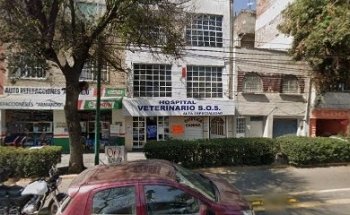 Especialistas de Perros y Gatos