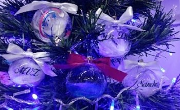 Veterinaria Dr. Dolittle