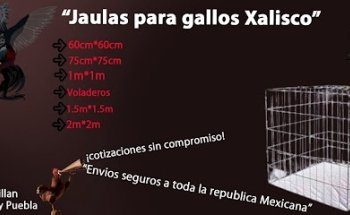 Jaulas para Gallos Xalisco