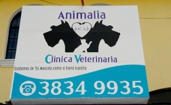Animalia Clínica Veterinaria
