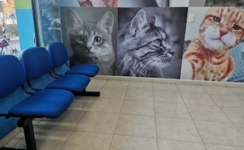 Clínica Veterinaria HUELLAS