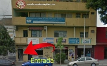 The House of Reptiles