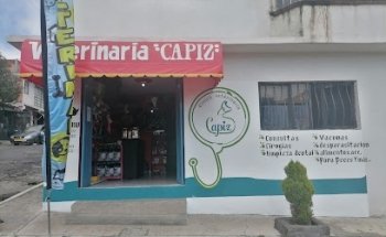 Clínica Veterinaria Capiz