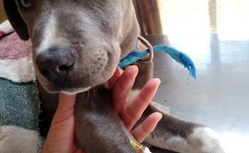 Veterinaria El Ranchero