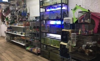 Veterinaria Dogtor Mascotas