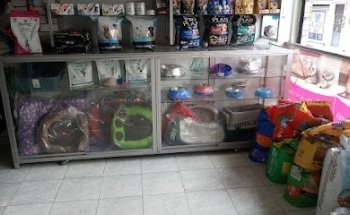 Mascotas Consentidas Cordoba