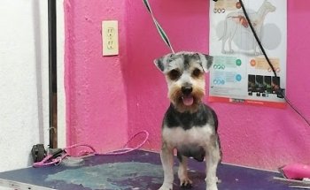 Tienda de Mascotas Food Can