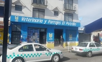 Veterinaria y Forrajes - El Potrillo