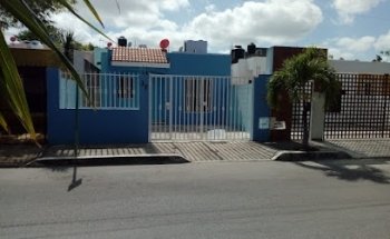 CLINICA ANIMAL 24 HRS / VETERINARIA - All You Need Is Love And A Dog