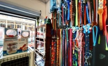 Clinica Veterinaria Good Care