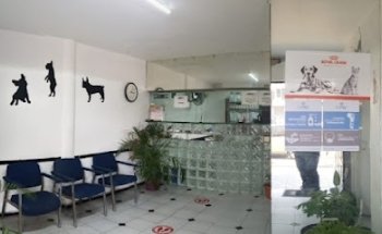 Hospital veterinario San Jacinto