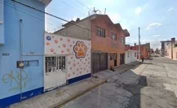 Centro Veterinario Toluca