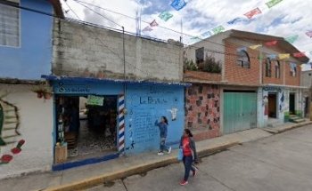 Estética Canina La Perruqueria