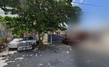 Mi Mascota Consentida