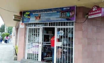 Consultorio Médico Veterinario 