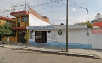 CLÍNICA VETERINARIA