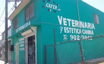 Clínica Veterinaria y Estética Canina GAFER
