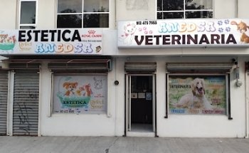 Veterinaria An.Ed.Sa