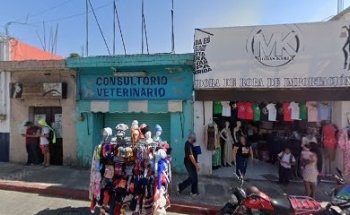 Consultorio Veterinario