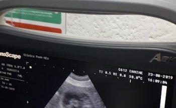 Consultorio medico veterinario peekmis