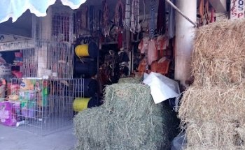 Forrajera Y Verterinaria Maciel