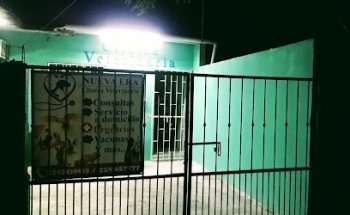 Veterinaria Nueva Era