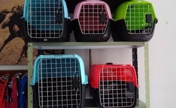 PET MASTER VETERINARIA