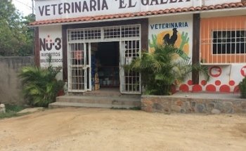 Veterinaria el Gallito