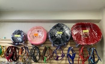 Clinica Veterinaria El Kan