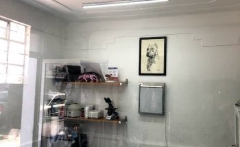 Vets Veterinaria Integral