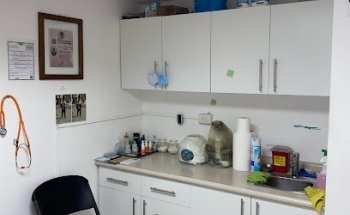 Consultorio Médico Veterinario Celaya