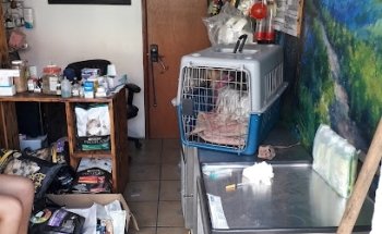 Veterinaria La Hormiga