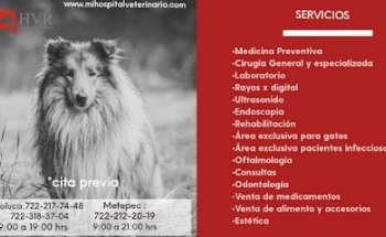 Hospital Veterinario Reynoso