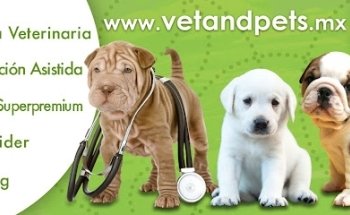 Vet and Pets