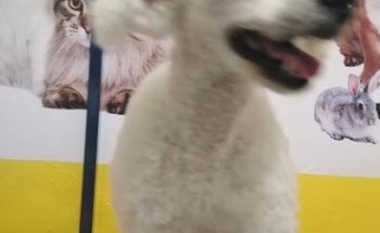 Clinica Veterinaria y Acuario 