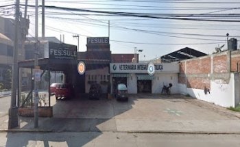 Integral veterinary Toluca