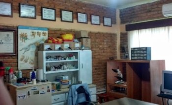 Clinica Veterinaria Pet´s