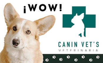 Canin vet's