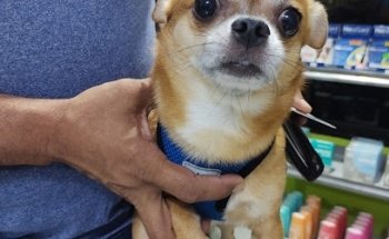 SEVETAB (Servicio Veterinario de Tabasco)URGENCIAS 24. HRS