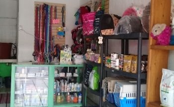 clinica veterinaria spa & health