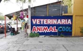 AnimalCool