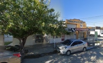 Consultorio Veterinario